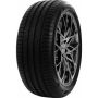 Легковая шина Delinte DS2 255/40 R19 100W